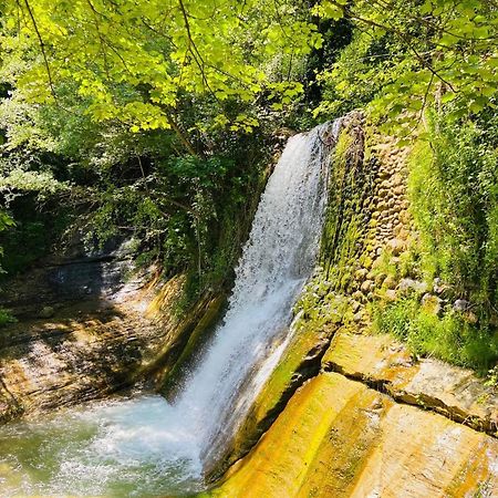 Gite De Groupe - Domaine Au Ch'Ti Ardechois Rochessauve Exterior foto